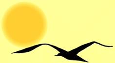 20060802151352-gaivota02.gif
