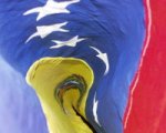 20080425161944-bandera-venezuela4.jpg