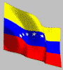 20080516205833-venezuel-202.gif