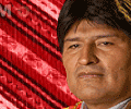 20080807191434-evonobel.gif