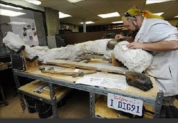 20090226194803-660-colmillo-mamut.jpg