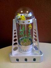 20090420040411-529-vegetales-luna.jpg