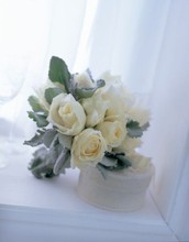 20090427001959-425-ramo-boda.jpg