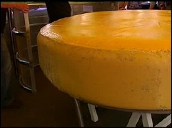 20090517192240-012-queso.jpg