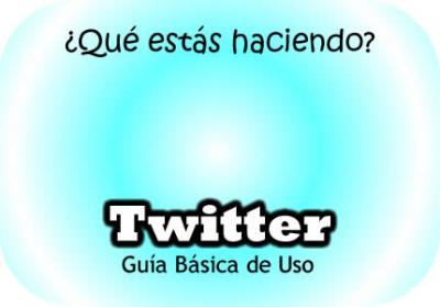 20090621180205-twitter.jpg