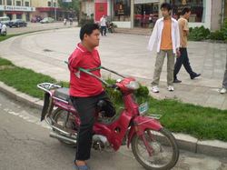 20090720002940-356-liu.jpg
