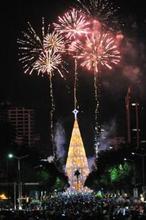 20091212050047-326-arbol-navidad.jpg