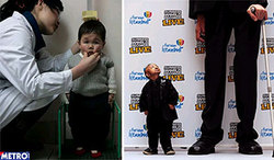20100122214744-wu.jpg