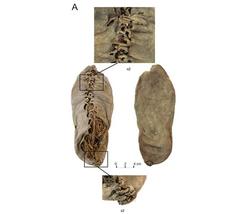 20100611010651-784-zapato-prehistorico.jpg