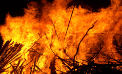 20101017235313-672-fuego.jpg - El descubrimiento del fuego