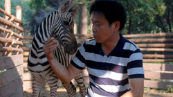 20110815012231-973-cebra.jpg