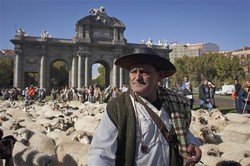20111101022230-413-beat.jpg - Pastores espa�oles llevan sus ovejas por las calles del centro de Madrid