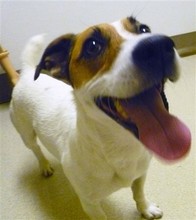 20111101023102-341-can.jpg